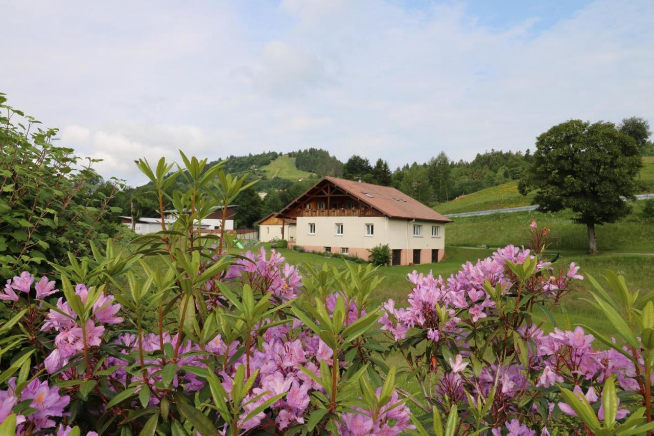 Les Chantenees La Bresse Exterior photo