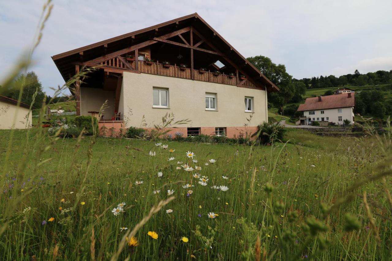 Les Chantenees La Bresse Exterior photo